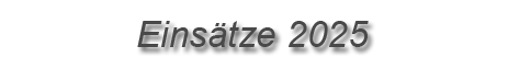 Einsätze 2025