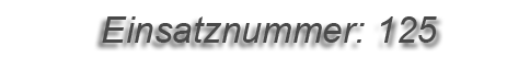 Einsatznummer: 125